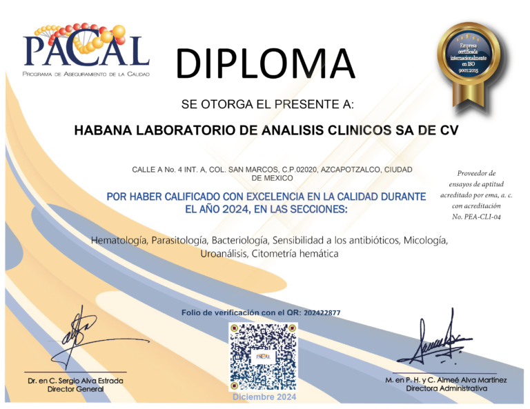 DIPLOMA HABANA (3)